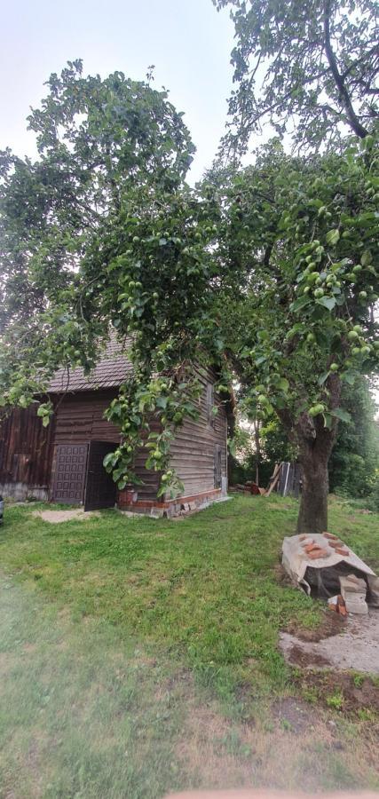 Villa Mazurska Przystan Dąbrówno Exterior foto